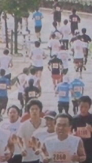 単独表示 SH3L002800010001.jpg