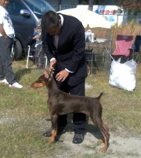 単独表示 クラウス　舞洲.jpg