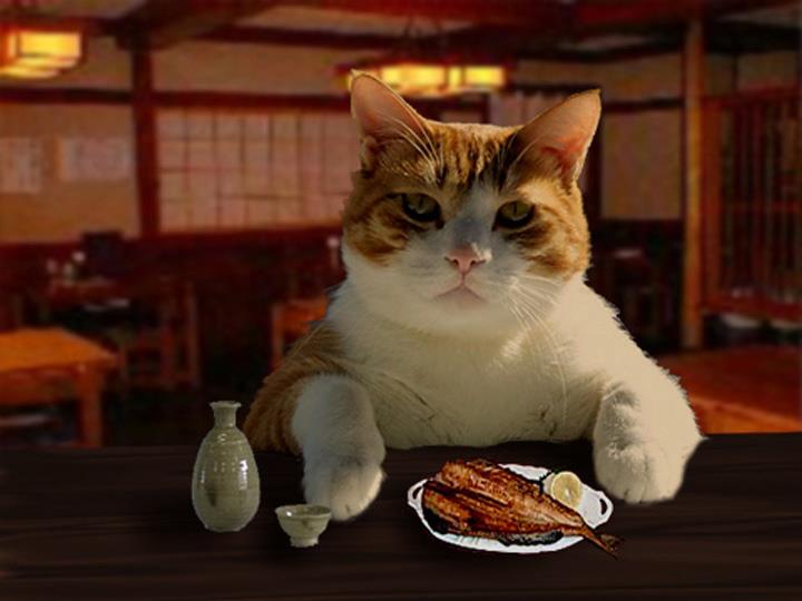 単独表示 1234567890123456.jpg